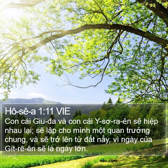 Hô-sê-a 1:11 VIE Bible Study