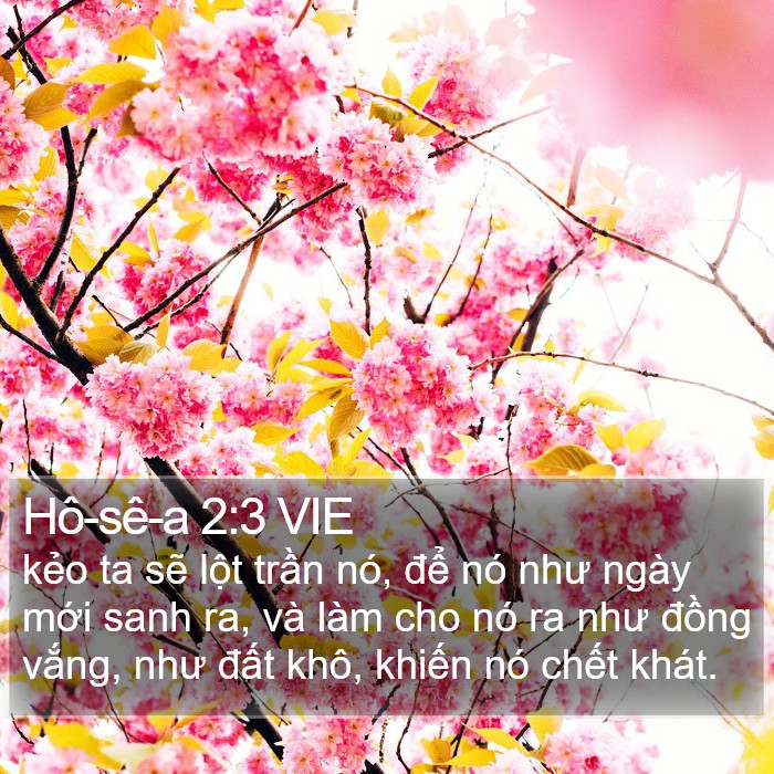Hô-sê-a 2:3 VIE Bible Study