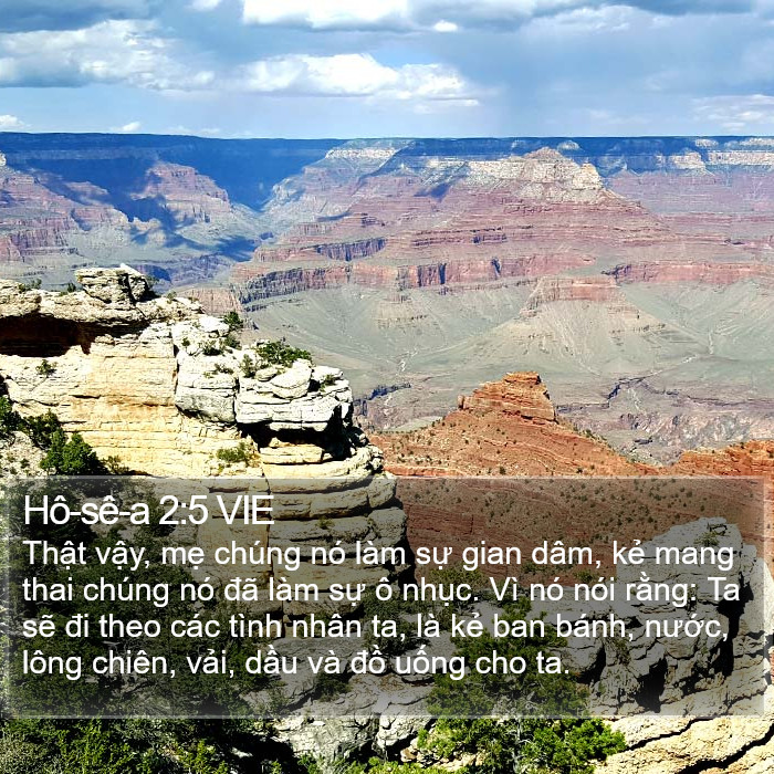 Hô-sê-a 2:5 VIE Bible Study