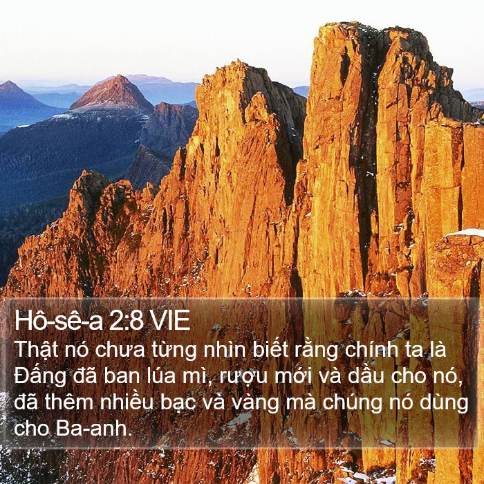 Hô-sê-a 2:8 VIE Bible Study