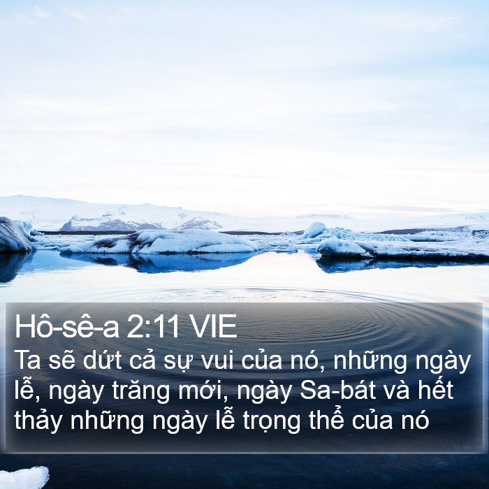 Hô-sê-a 2:11 VIE Bible Study