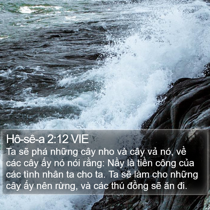Hô-sê-a 2:12 VIE Bible Study