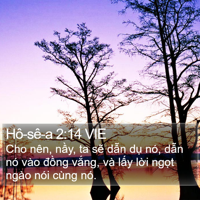 Hô-sê-a 2:14 VIE Bible Study