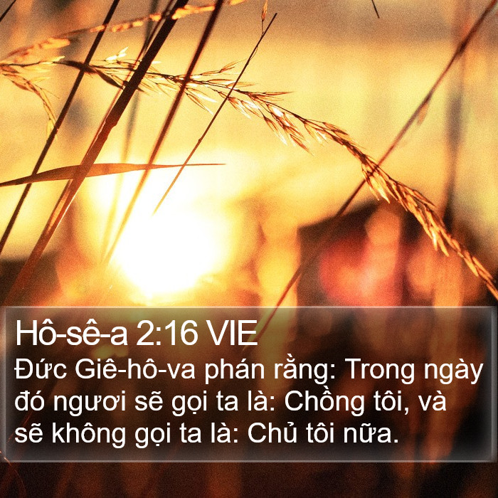Hô-sê-a 2:16 VIE Bible Study