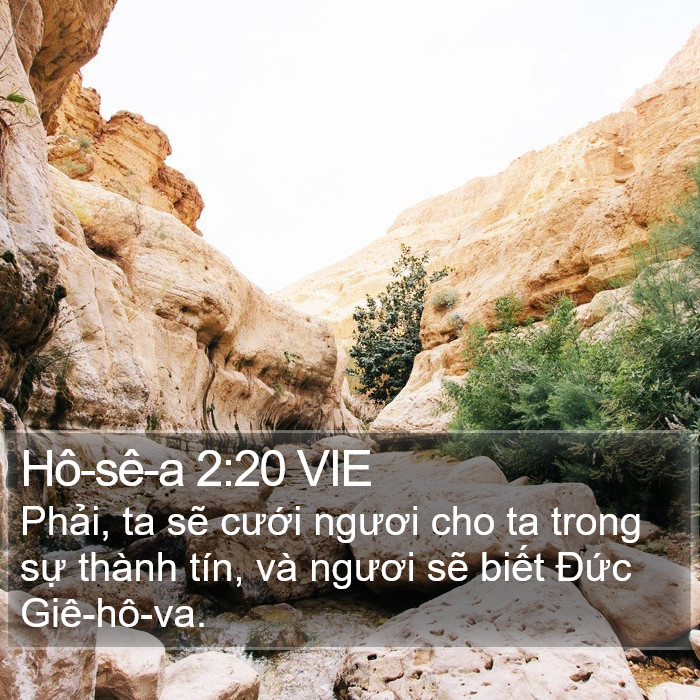Hô-sê-a 2:20 VIE Bible Study