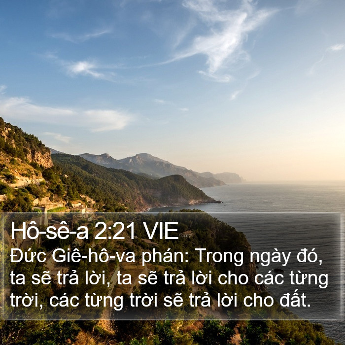 Hô-sê-a 2:21 VIE Bible Study