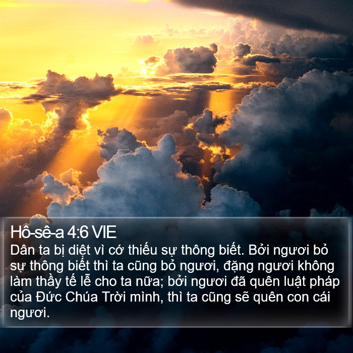 Hô-sê-a 4:6 VIE Bible Study
