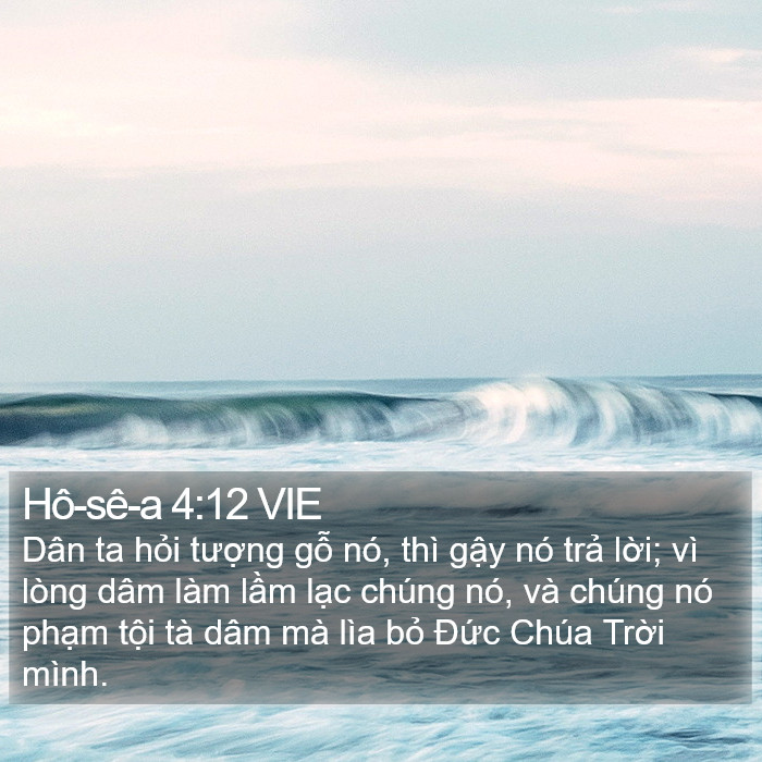 Hô-sê-a 4:12 VIE Bible Study