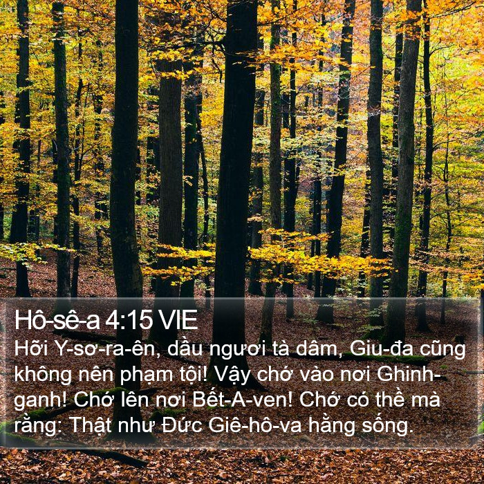 Hô-sê-a 4:15 VIE Bible Study