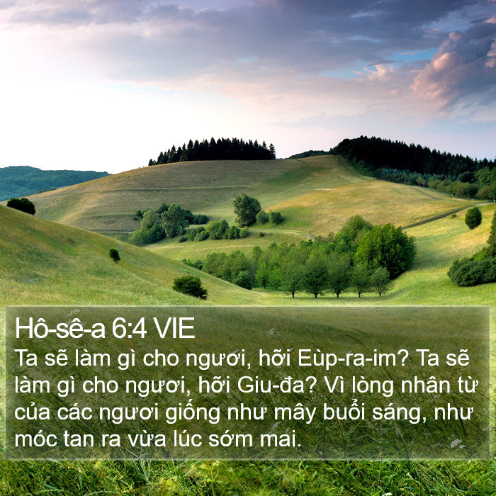 Hô-sê-a 6:4 VIE Bible Study