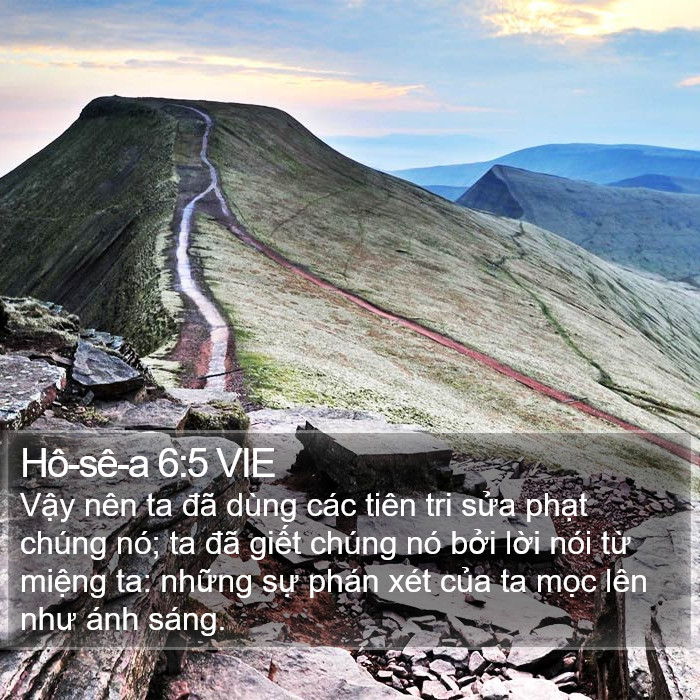 Hô-sê-a 6:5 VIE Bible Study