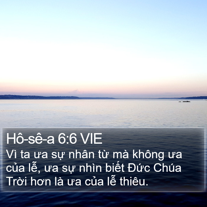 Hô-sê-a 6:6 VIE Bible Study