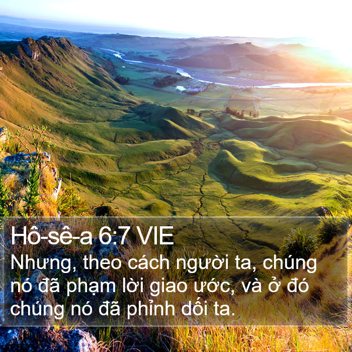 Hô-sê-a 6:7 VIE Bible Study