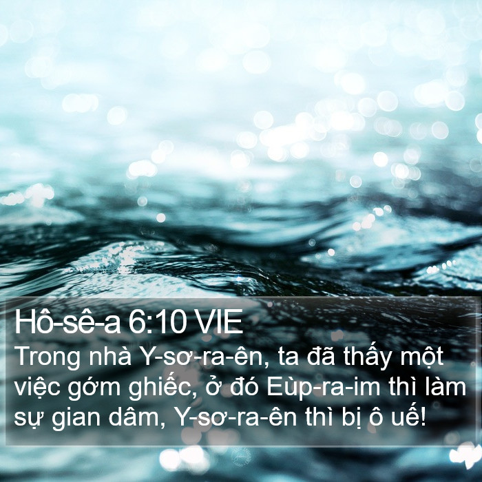 Hô-sê-a 6:10 VIE Bible Study