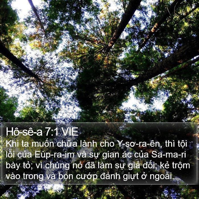 Hô-sê-a 7:1 VIE Bible Study