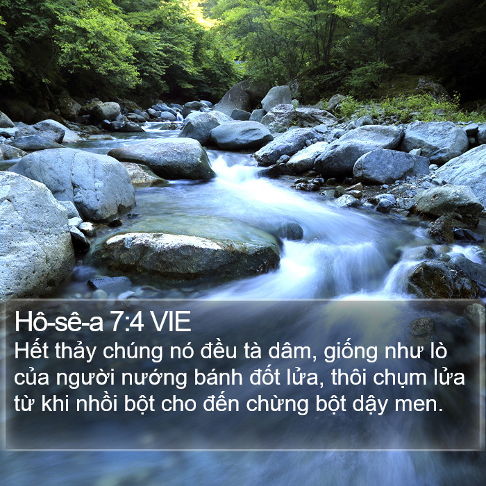 Hô-sê-a 7:4 VIE Bible Study