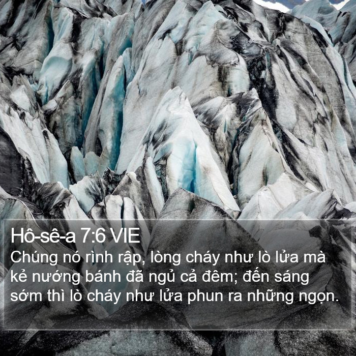 Hô-sê-a 7:6 VIE Bible Study