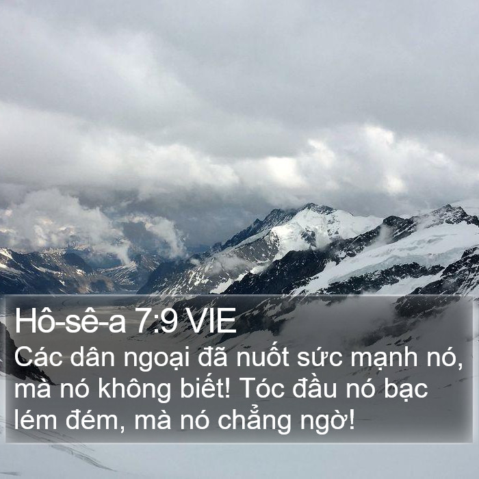 Hô-sê-a 7:9 VIE Bible Study