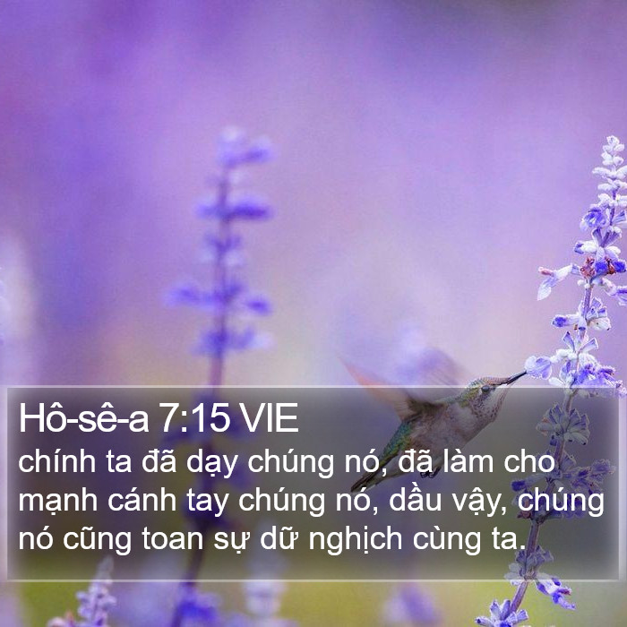 Hô-sê-a 7:15 VIE Bible Study