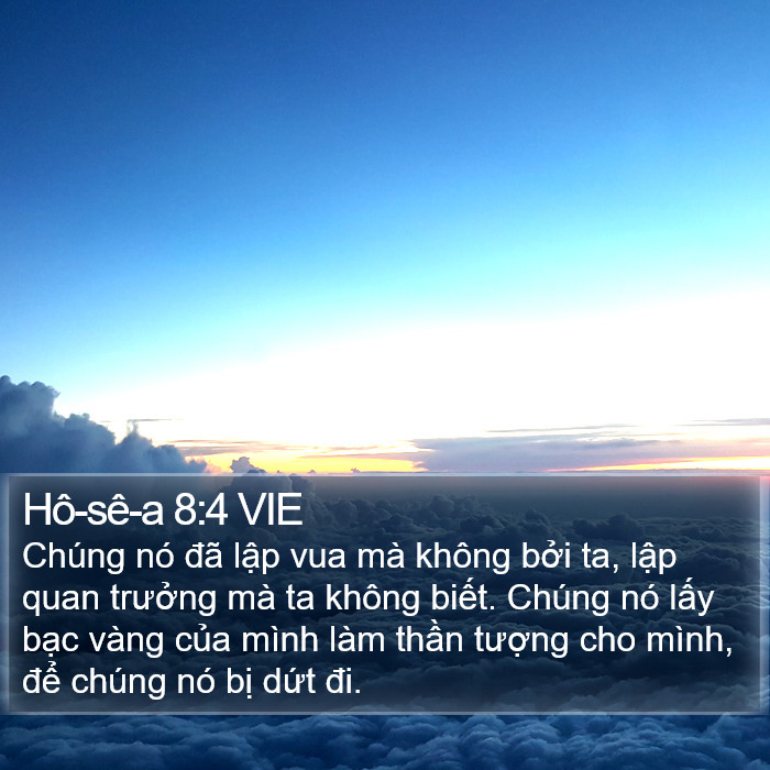 Hô-sê-a 8:4 VIE Bible Study