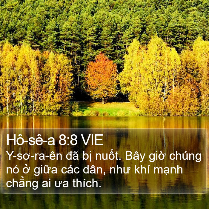 Hô-sê-a 8:8 VIE Bible Study