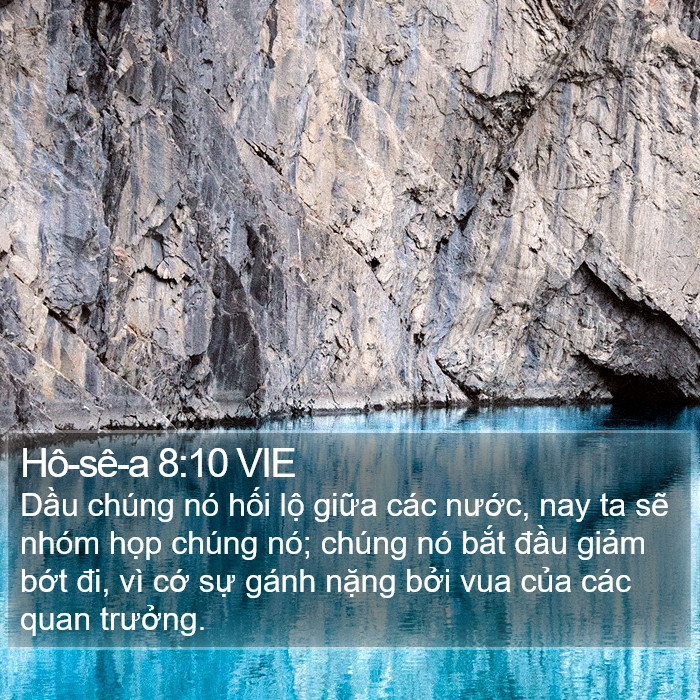 Hô-sê-a 8:10 VIE Bible Study