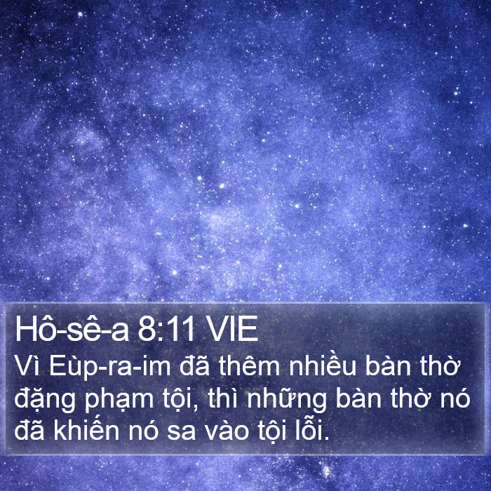 Hô-sê-a 8:11 VIE Bible Study