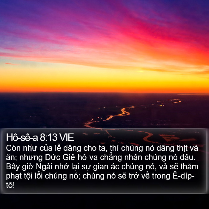 Hô-sê-a 8:13 VIE Bible Study