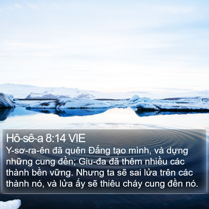 Hô-sê-a 8:14 VIE Bible Study