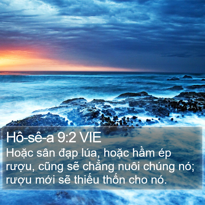 Hô-sê-a 9:2 VIE Bible Study