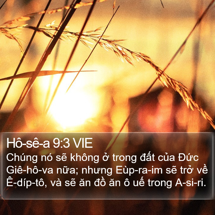 Hô-sê-a 9:3 VIE Bible Study
