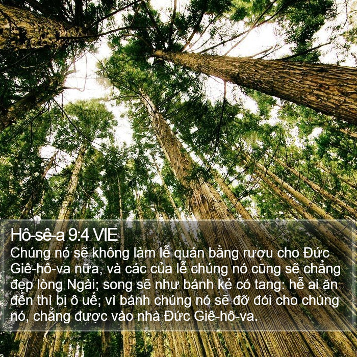 Hô-sê-a 9:4 VIE Bible Study