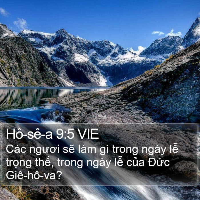 Hô-sê-a 9:5 VIE Bible Study