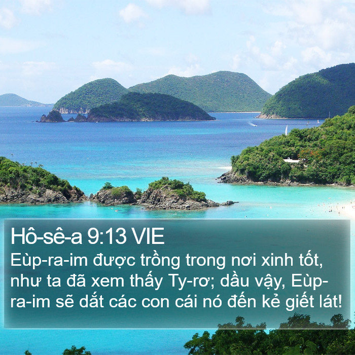 Hô-sê-a 9:13 VIE Bible Study
