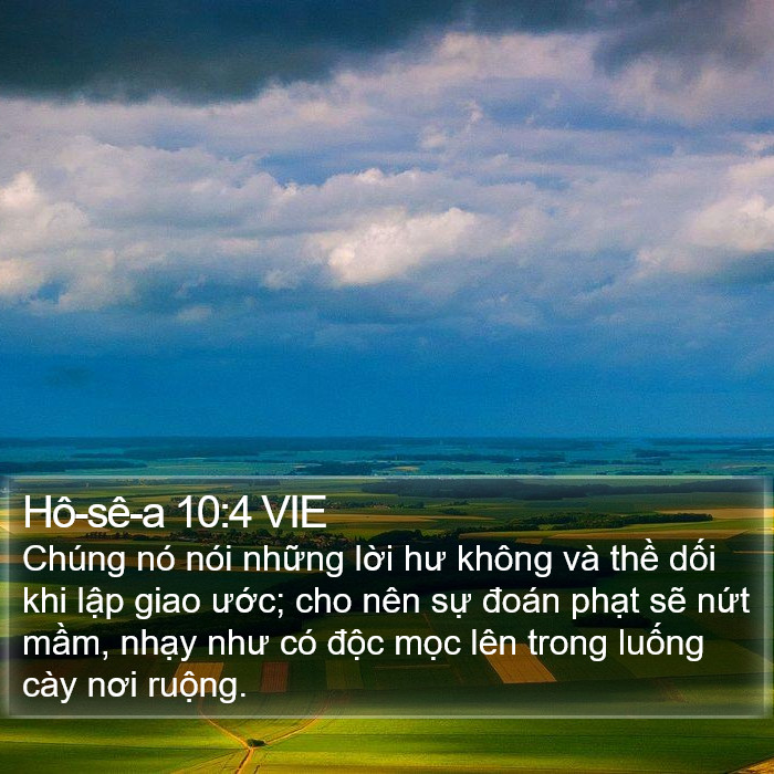 Hô-sê-a 10:4 VIE Bible Study