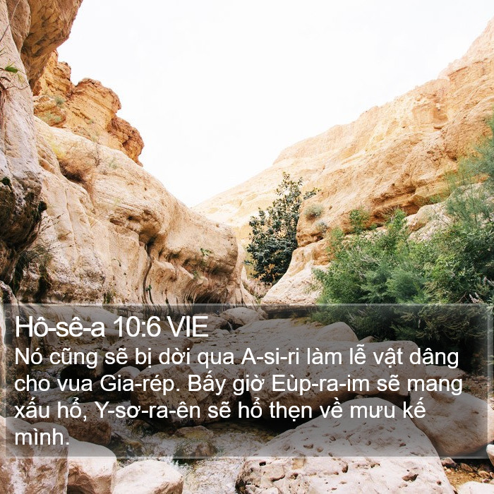 Hô-sê-a 10:6 VIE Bible Study