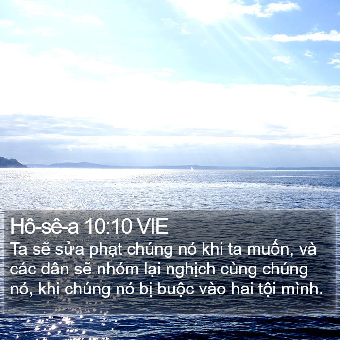 Hô-sê-a 10:10 VIE Bible Study