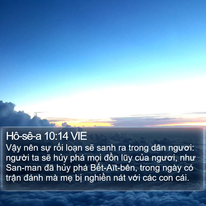 Hô-sê-a 10:14 VIE Bible Study