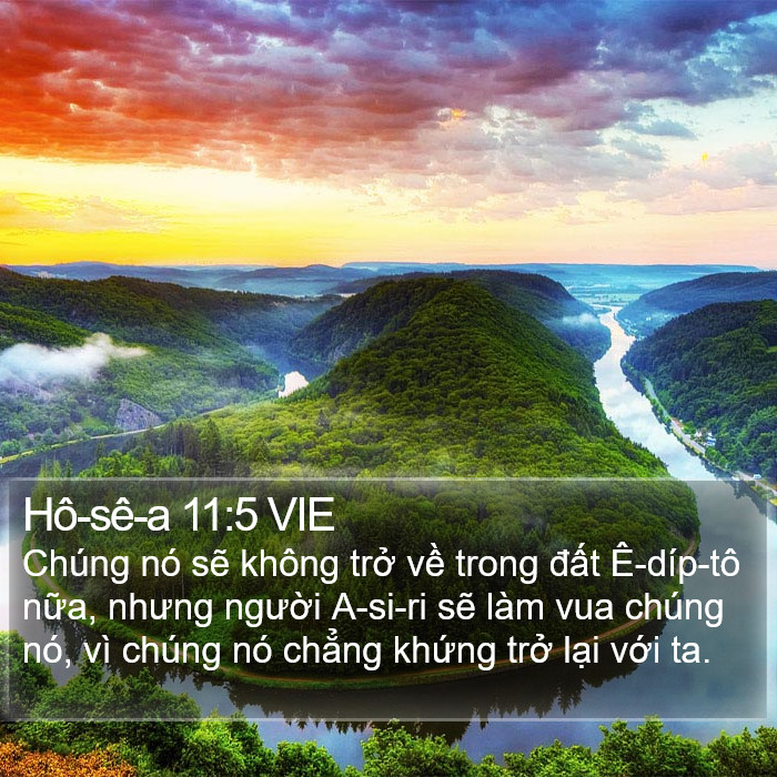 Hô-sê-a 11:5 VIE Bible Study