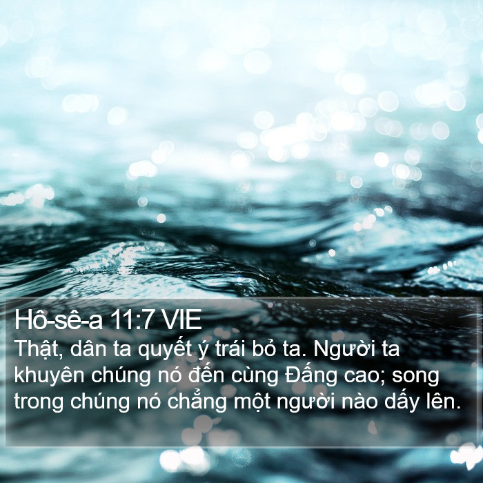 Hô-sê-a 11:7 VIE Bible Study