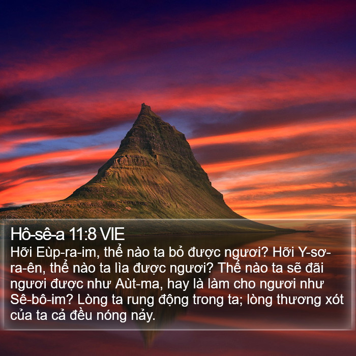 Hô-sê-a 11:8 VIE Bible Study