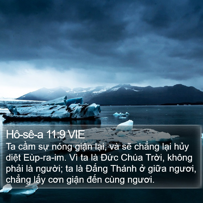 Hô-sê-a 11:9 VIE Bible Study