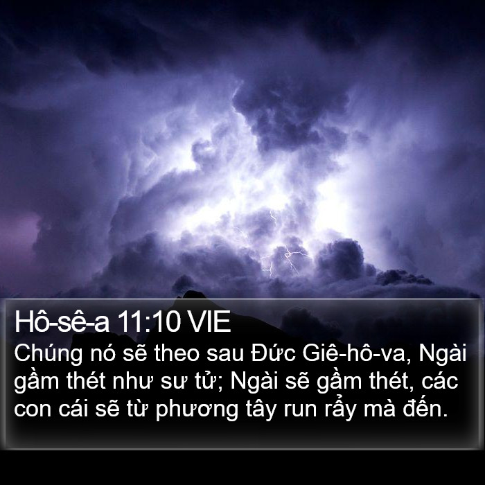 Hô-sê-a 11:10 VIE Bible Study