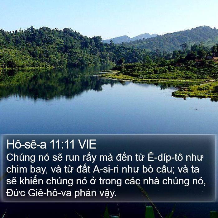 Hô-sê-a 11:11 VIE Bible Study