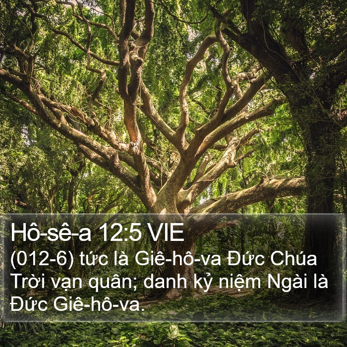 Hô-sê-a 12:5 VIE Bible Study