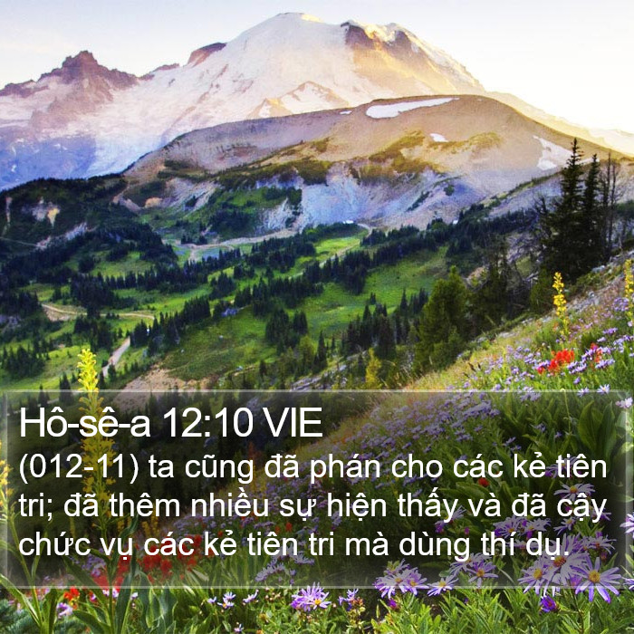 Hô-sê-a 12:10 VIE Bible Study