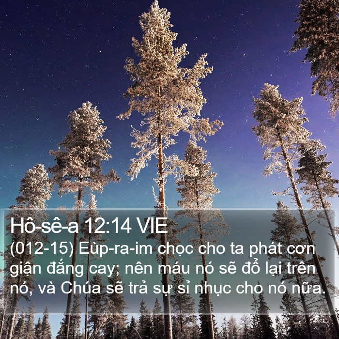 Hô-sê-a 12:14 VIE Bible Study