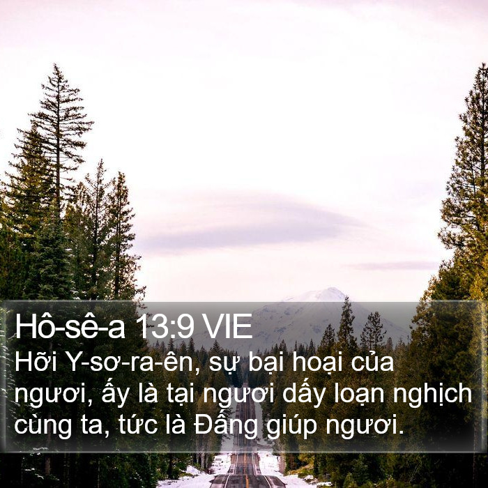 Hô-sê-a 13:9 VIE Bible Study