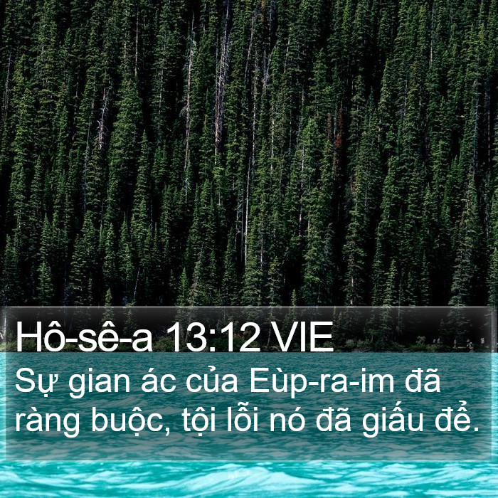 Hô-sê-a 13:12 VIE Bible Study