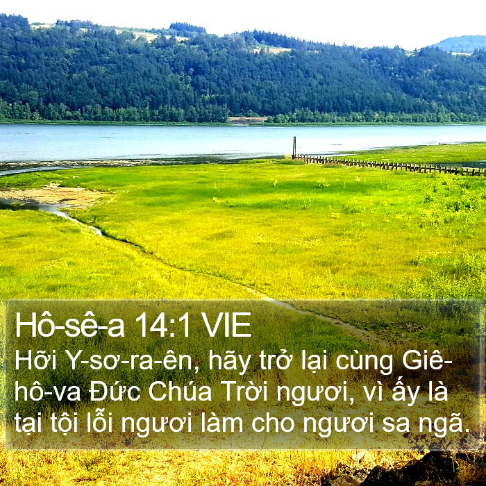 Hô-sê-a 14:1 VIE Bible Study